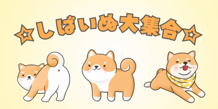 ☆しばいぬ大集合☆
